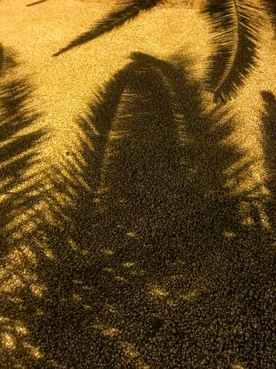 Composition - Shadows, 2021 (photo) - Cécile Jamet