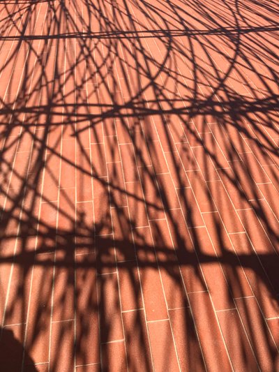 Composition - Shadows, 2021 (photo) - Cécile Jamet