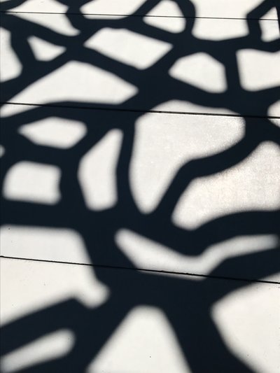 Composition - Shadows, 2021 (photo) - Cécile Jamet