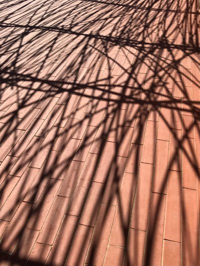Composition - Shadows, 2021 (photo) - Cécile Jamet