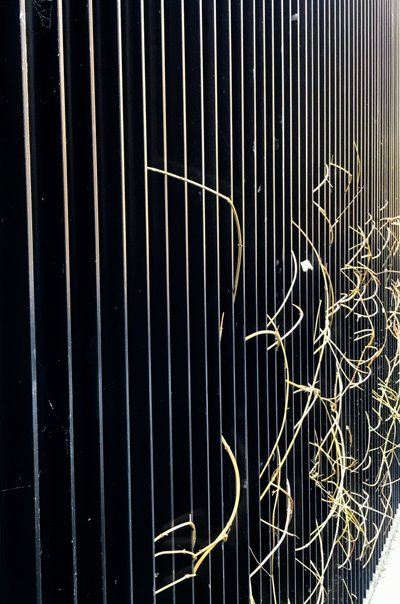 Composition - Street, 2020 (photo) - Cécile Jamet