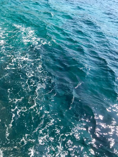 Composition - Texture, 2020 (photo) - Cécile Jamet