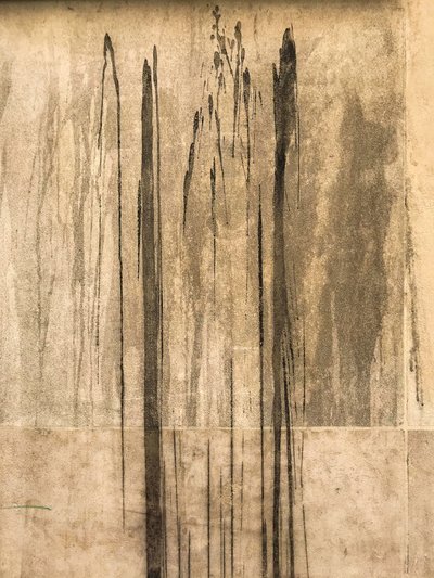 Composition - Texture, 2020 (photo) - Cécile Jamet