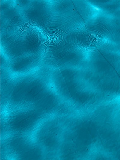 Composition - Texture, 2020 (photo) - Cécile Jamet
