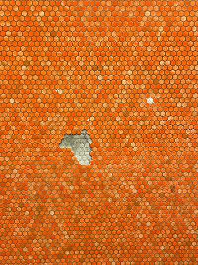 Composition - mosaïque, 2022 (photo) - Cécile Jamet