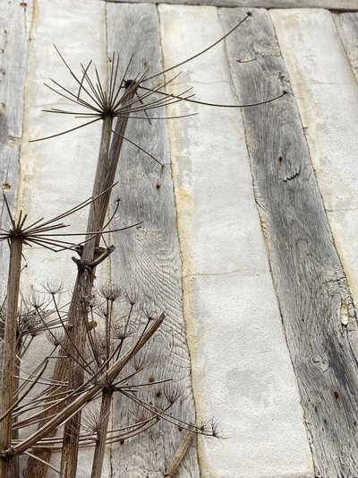 Composition, Architecture 2022 (photo) - Cécile Jamet