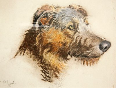 Un lévrier écossais - Cecil Charles Windsor Aldin