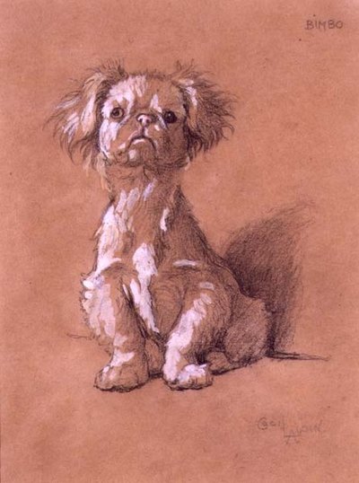 Bimbo - Cecil Charles Windsor Aldin