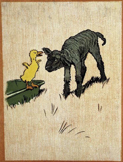 Agneau noir et caneton - dessin par Aldin - Cecil Charles Windsor Aldin
