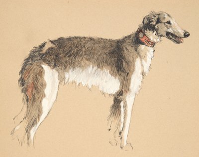 Borzoi, 1930, Illustrations de son carnet de croquis utilisé pour Just Among Friends, publié plus tard par Eyre et Spottiswoode Limited, 1934 - Cecil Charles Windsor Aldin