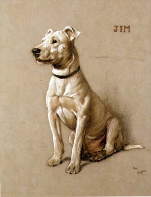 Jim, un Bull Terrier - Cecil Charles Windsor Aldin