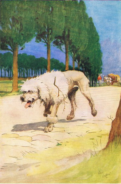 Moufflou (de l