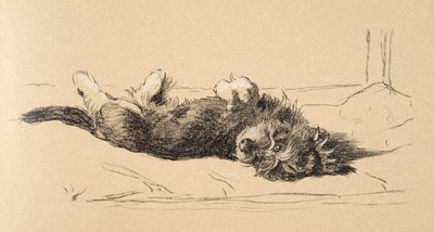 Chiot teckel à poil dur (détail), 1930, Illustrations de son carnet de croquis utilisé pour Just Among Friends, Aldin, Cecil Charles Windsor (1870-1935), publié plus tard par Eyre and Spottiswoode Limited, 1934 - Cecil Charles Windsor Aldin