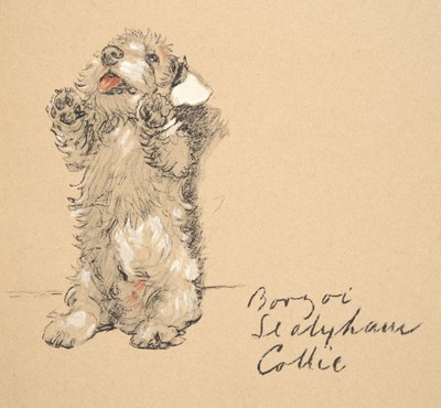 Sealyham, 1930, Illustrations de son carnet de croquis utilisé pour Just Among Friends, publié plus tard par Eyre et Spottiswoode Limited, 1934 - Cecil Charles Windsor Aldin