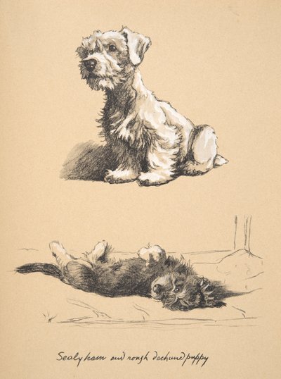 Sealyham et chiot Rough Dachund, 1930, Illustrations de son carnet de croquis utilisé pour Just Among Friends, publié plus tard par Eyre et Spottiswoode Limited, 1934 - Cecil Charles Windsor Aldin