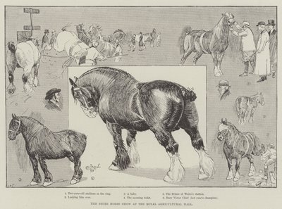 Le salon du cheval de trait au Royal Agricultural Hall - Cecil Charles Windsor Aldin