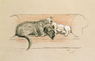 Lévrier irlandais et bull-terrier endormis sur un canapé - Cecil Charles Windsor Aldin