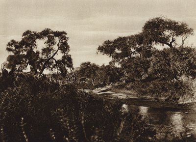 Mexique : Zacatecas, Près des ruines de La Quemada (photo n/b) - Cecile Seler Sachs