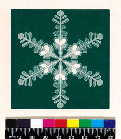 Cristaux de neige - Cecilia Glaisher