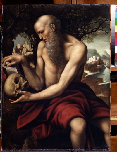 Représentation de saint Jérôme - Cesare da Sesto