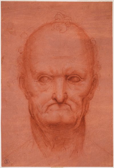 Tête de vieil homme, vers 1515 - Cesare da attr.to Sesto