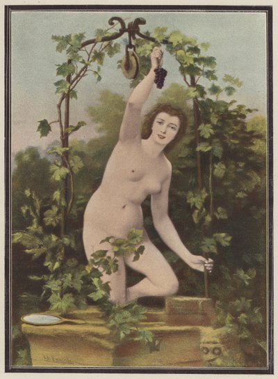 Femme cueillant des raisins d