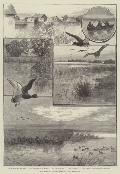 Chasse au canard à Long Point Island, sur le lac Érié - Charles (after) Whymper
