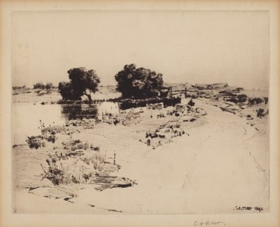 Saules du Cap Ann - Charles A. Platt