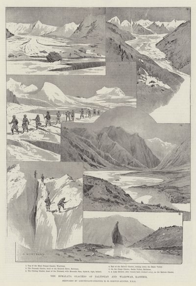 Les Glaciers de l
