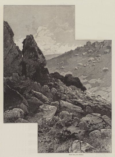 Pour l