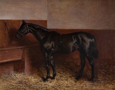 Chippendale dans une stalle - Charles Augustus Henry Lutyens