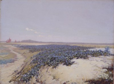Dunes couvertes de fleurs (huile sur toile) - Charles Augustus Lasar