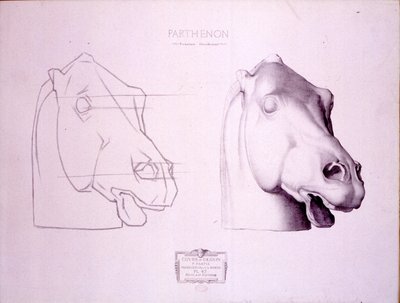 Tête de cheval du fronton ouest du Parthénon, planche 47 du Cours de Dessin, c.1898 - Charles Bargue