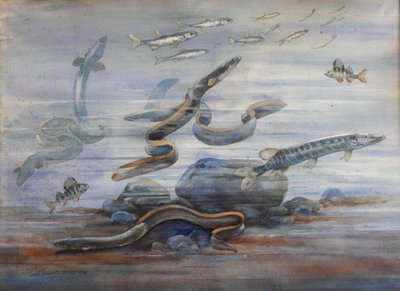 Poissons de mer, c.1907 - Charles Bernier