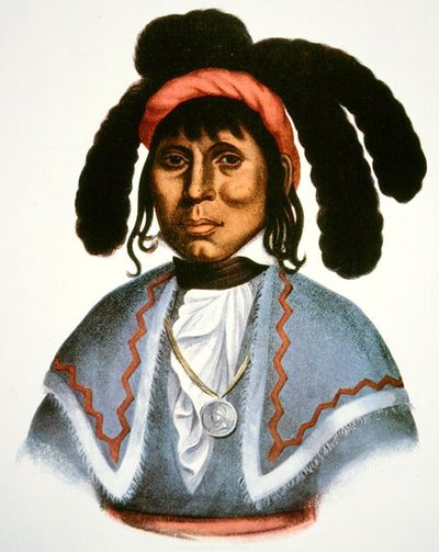 Micanopy (d.1849) c.1826 - Charles Bird King