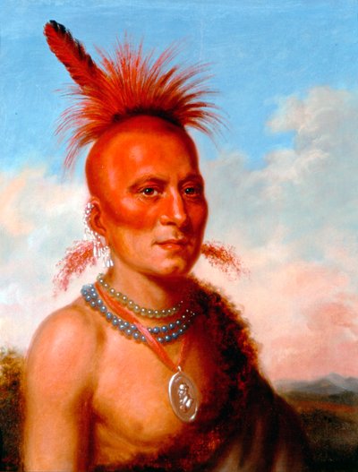 Sharitarish (chef méchant), Pawnee - Charles Bird King