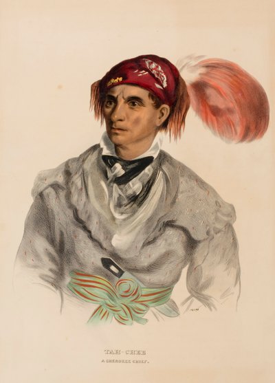 Tah-Chee (Dutch), chef cherokee, extrait de History of the Indian Tribes of North America (Histoire des tribus indiennes d