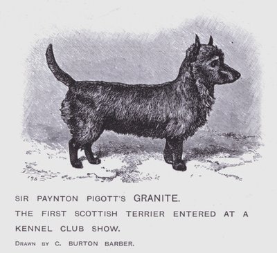 Le granit de Sir Paynton Pigott - Charles Burton (after) Barber