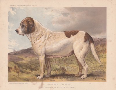 Saint Bernard "Abbesse" - Charles Burton Barber