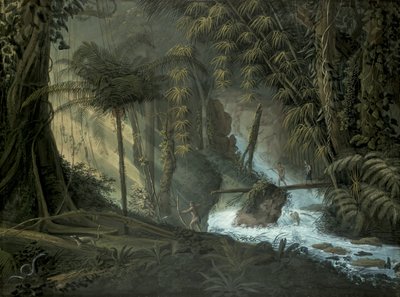Forêt brésilienne - Charles Comte de Clarac