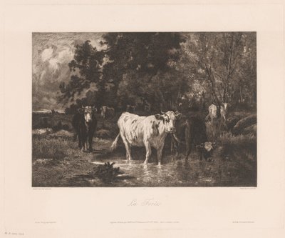 Paysage avec vaches au bord d