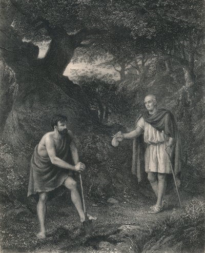 Timon et Flavius Timon d