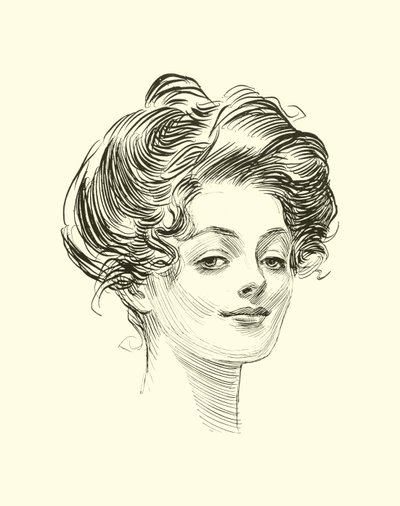Illustration pour L