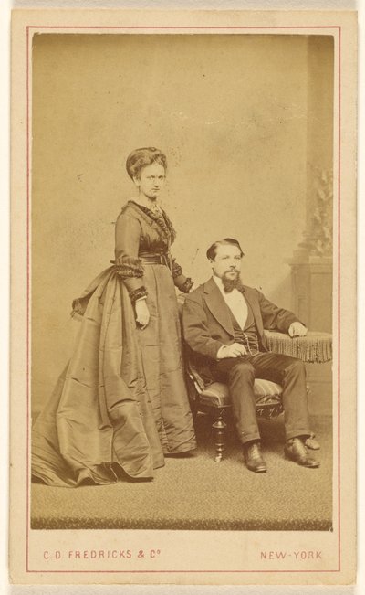 [Couple non identifié : femme debout, homme à la barbe de Vandyke assis]. - Charles DeForest Fredricks