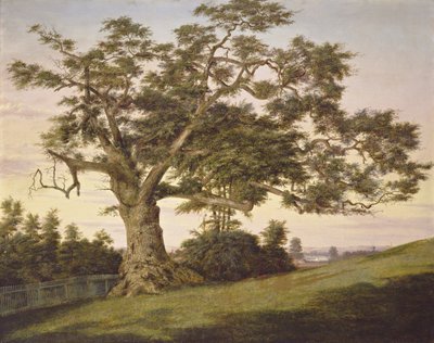 Le Chêne de la Charte - Charles de Wolf Brownell
