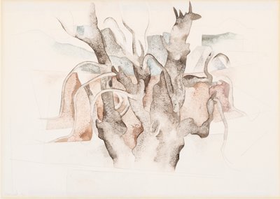 Bermudes - Arbres - Charles Demuth