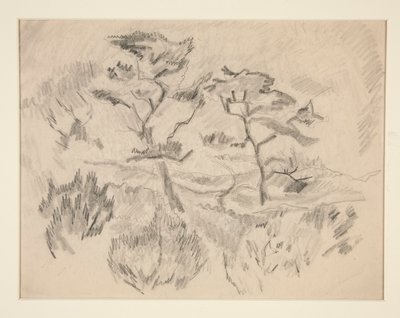Paysage (Bermudes ou Provincetown ?) - Charles Demuth