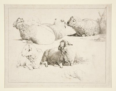Moutons au pâturage - Charles Echard