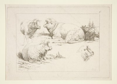 Étude de moutons - Charles Echard