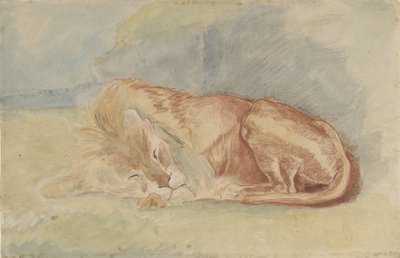 Lion endormi - Charles Edmé Saint Marcel Cabin